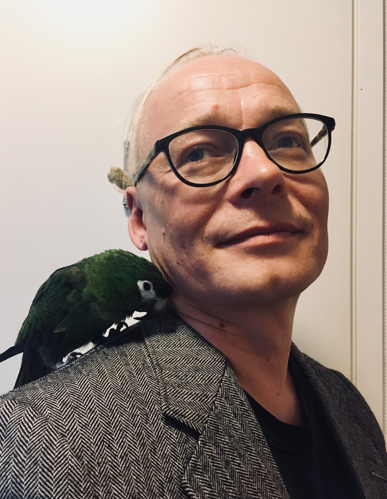 Petri Tähtinen